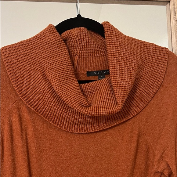 Women's Rust Sweater - Picture 3 of 3